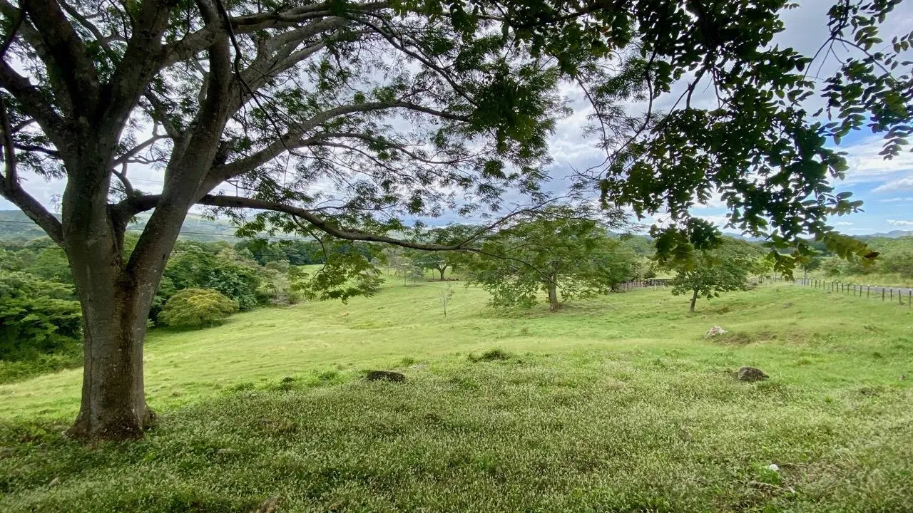 La Pintada Secondary Road ##1 - Photo 71