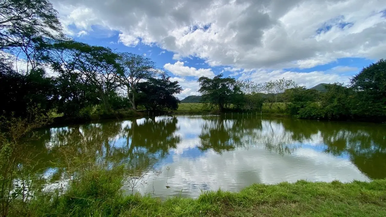 La Pintada Secondary Road ##1 - Photo 65