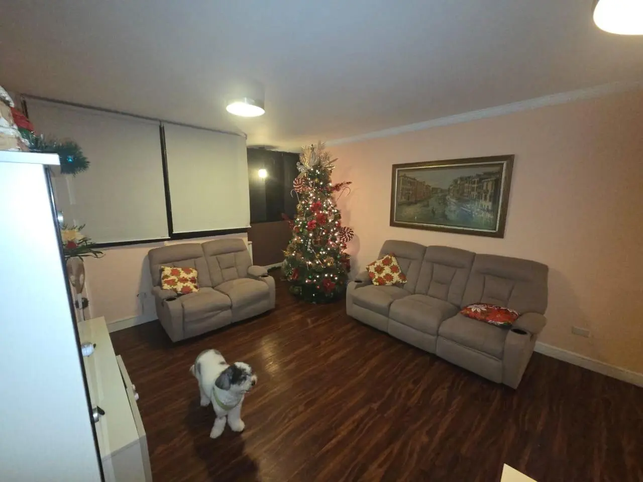 Villa De Las Fuentes 1 Ph Fountain View, Betania Pma #edificio - Photo 5