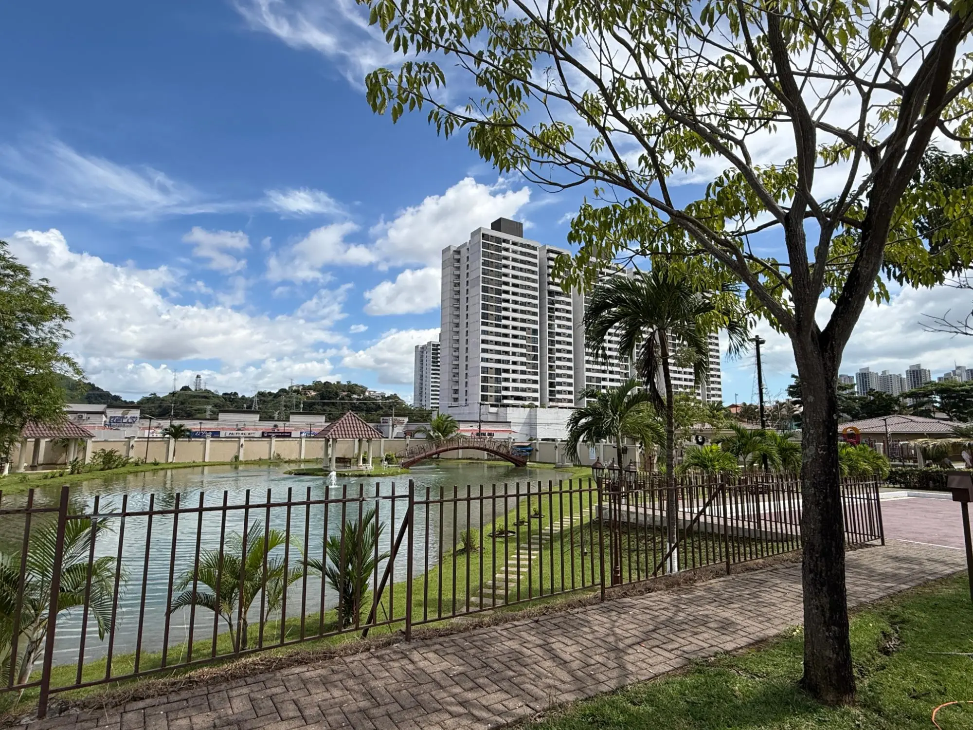 Dorado Lakes - Photo 48