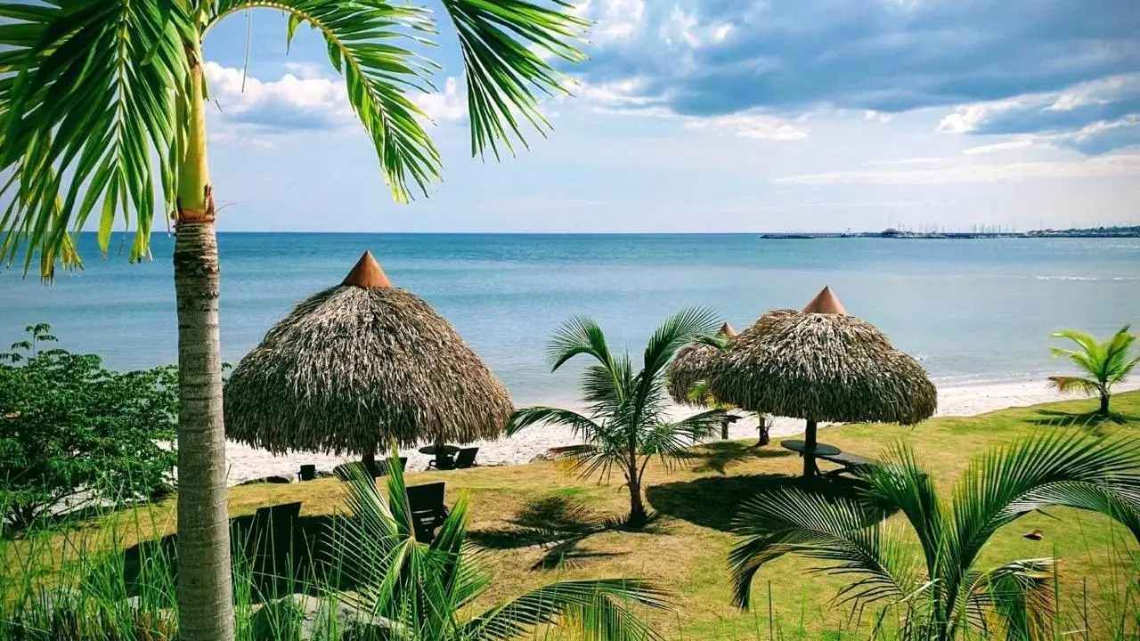 Calle Galeon #1f - Photo 22