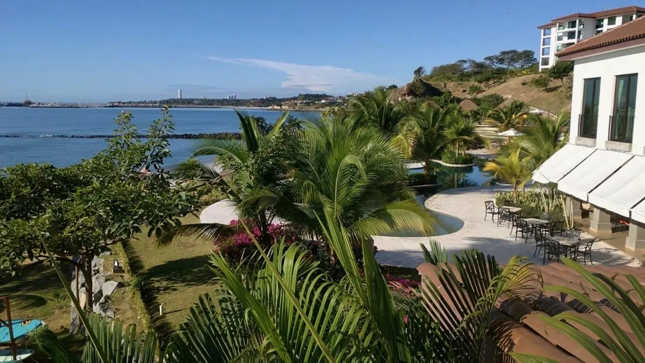 Calle Galeon #1f - Photo 28