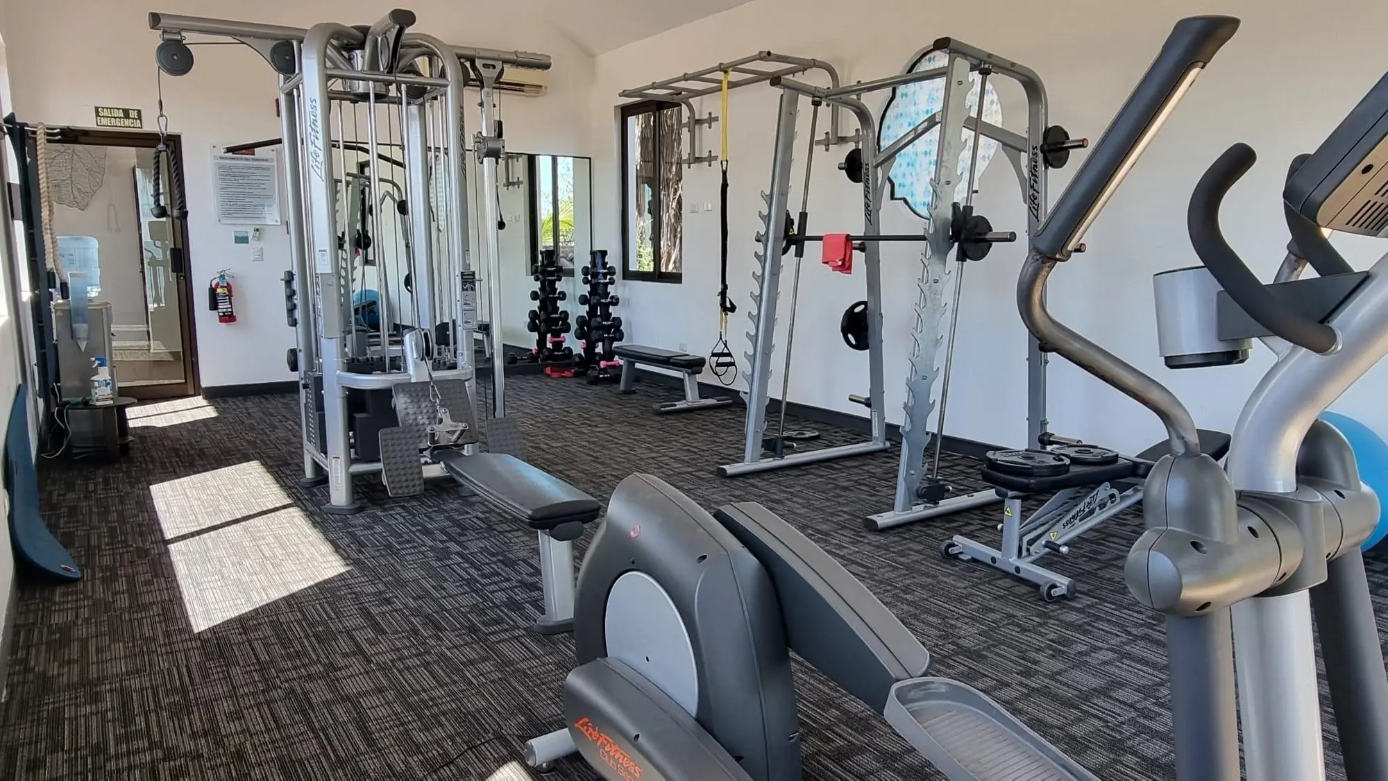 Calle Galeon #1f - Photo 29