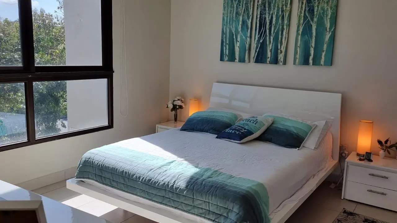 Calle Galeon #1f - Photo 17