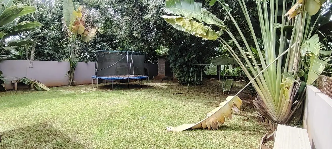 Calle Primera Urbanización Villa Patricia, Juan Demóstenes Arosemena. #sn - Photo 36