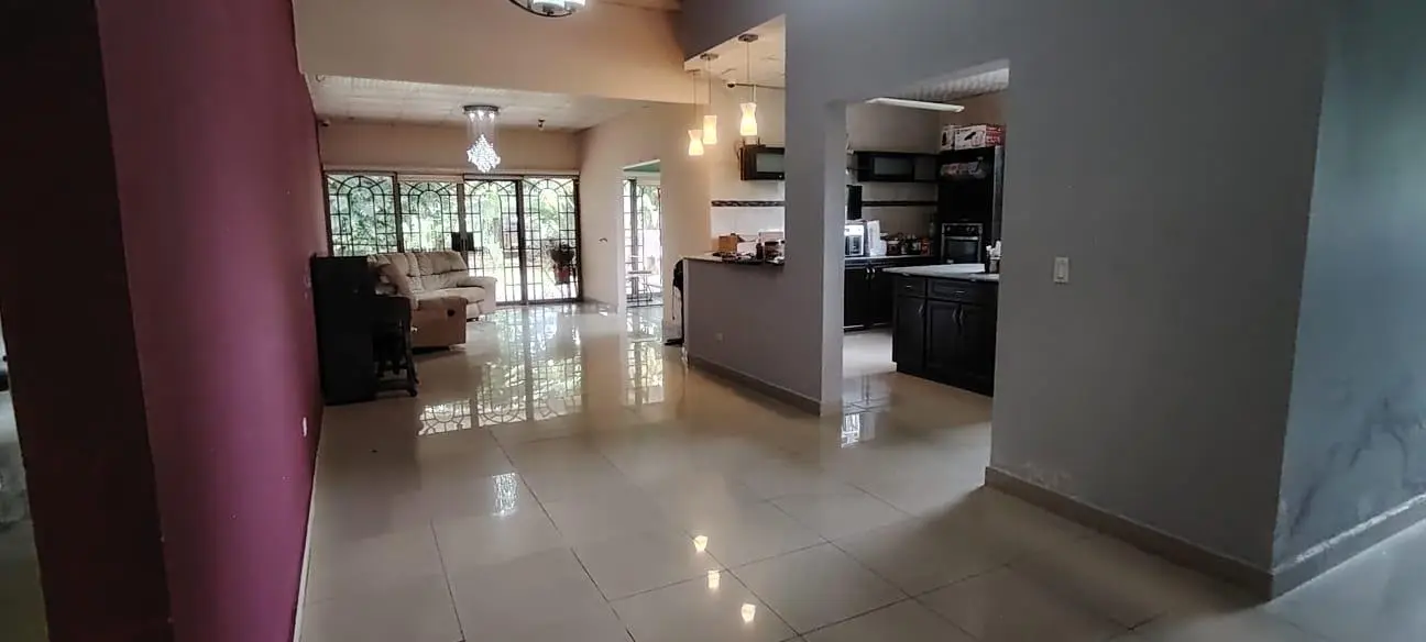 Calle Primera Urbanización Villa Patricia, Juan Demóstenes Arosemena. #sn - Photo 6